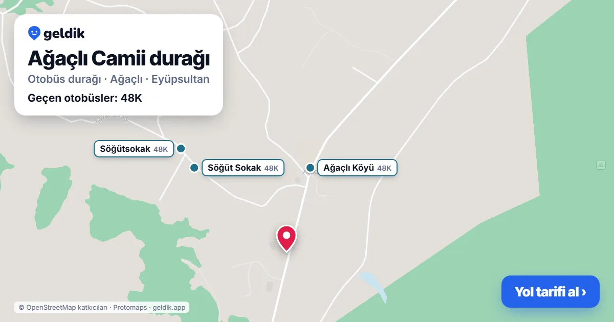 Ağaçlı Camii otobüs durağı haritada: konumu ve yakındaki duraklar