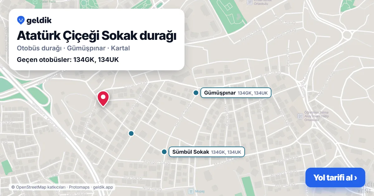 Atatürk Çiçeği Sokak otobüs durağı haritada: konumu ve yakındaki duraklar