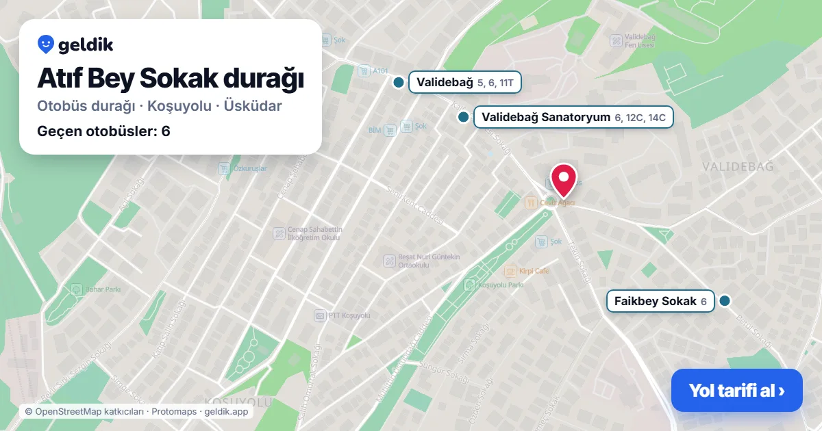 Atıf Bey Sokak otobüs durağı haritada: konumu ve yakındaki duraklar