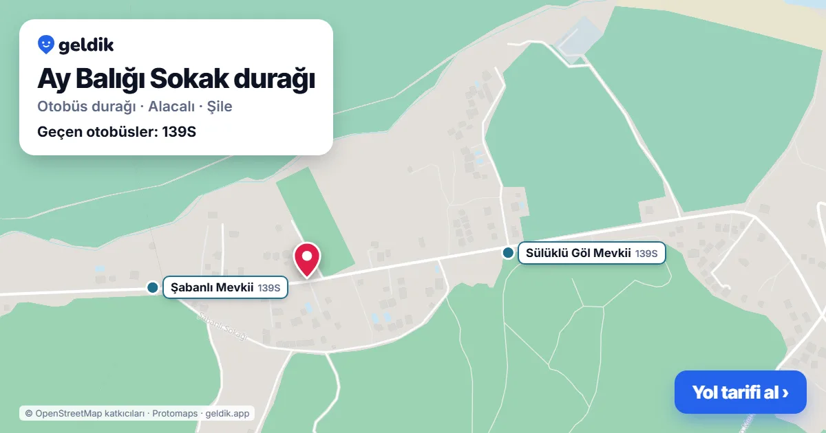 Ay Balığı Sokak otobüs durağı haritada: konumu ve yakındaki duraklar