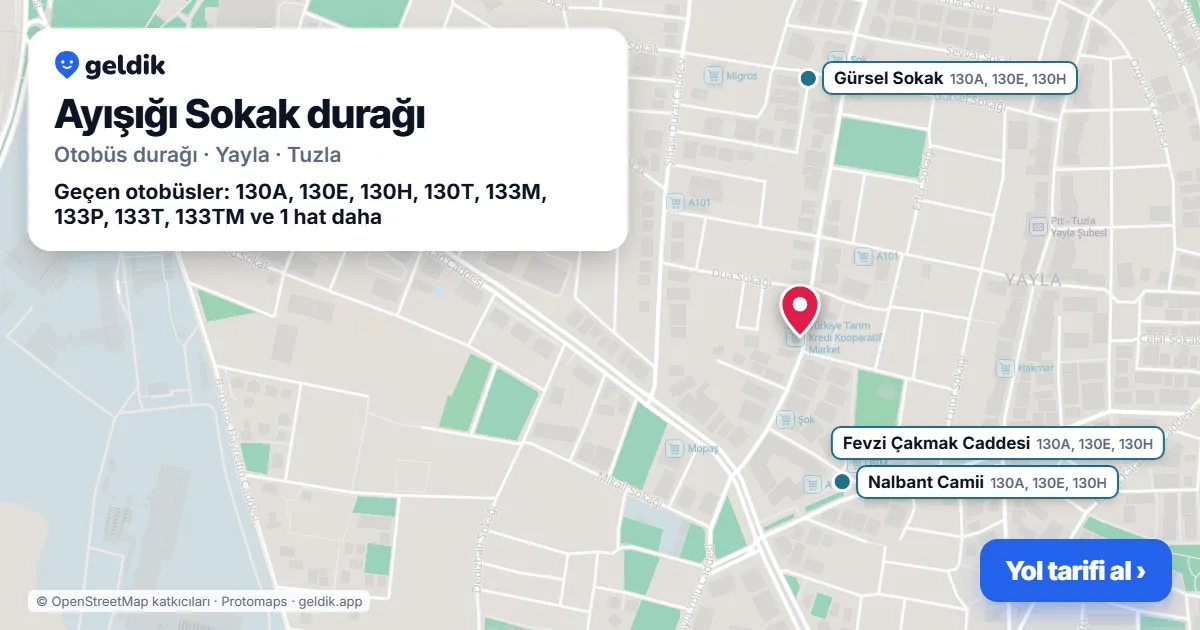 Ayışığı Sokak otobüs durağı haritada: konumu ve yakındaki duraklar