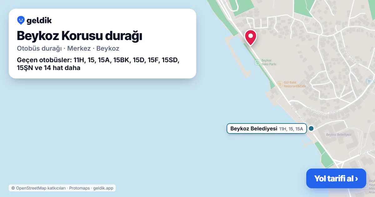 Beykoz Korusu otobüs durağı haritada: konumu ve yakındaki duraklar