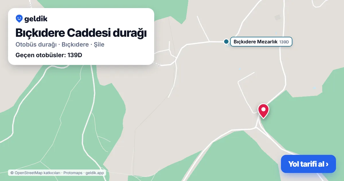 Bıçkıdere Caddesi otobüs durağı haritada: konumu ve yakındaki duraklar