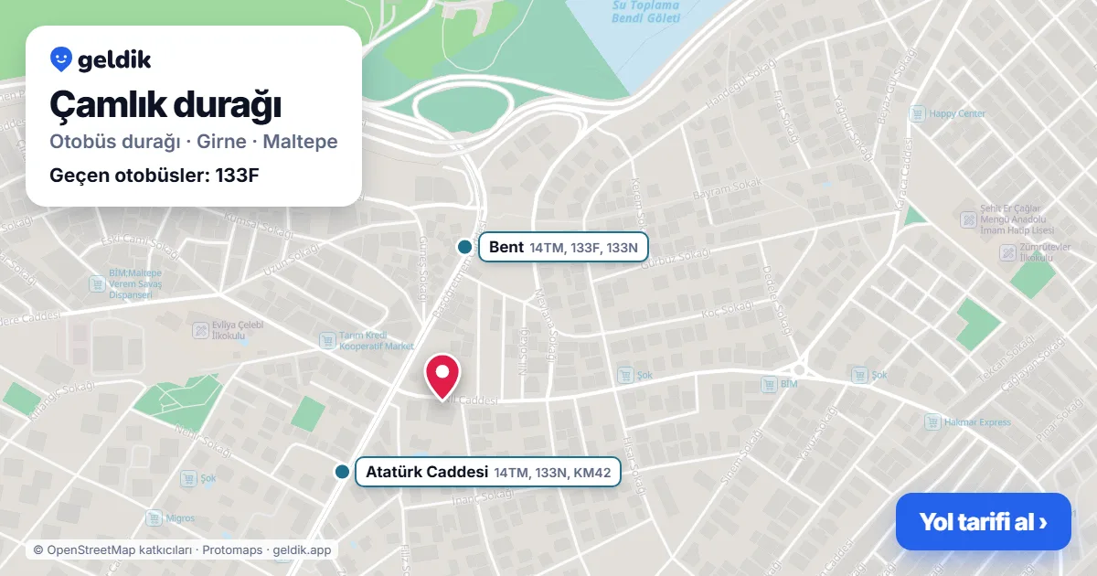Çamlık otobüs durağı haritada: konumu ve yakındaki duraklar