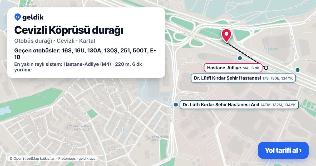 Cevizli Köprüsü otobüs durağı haritada: konumu ve yakındaki duraklar