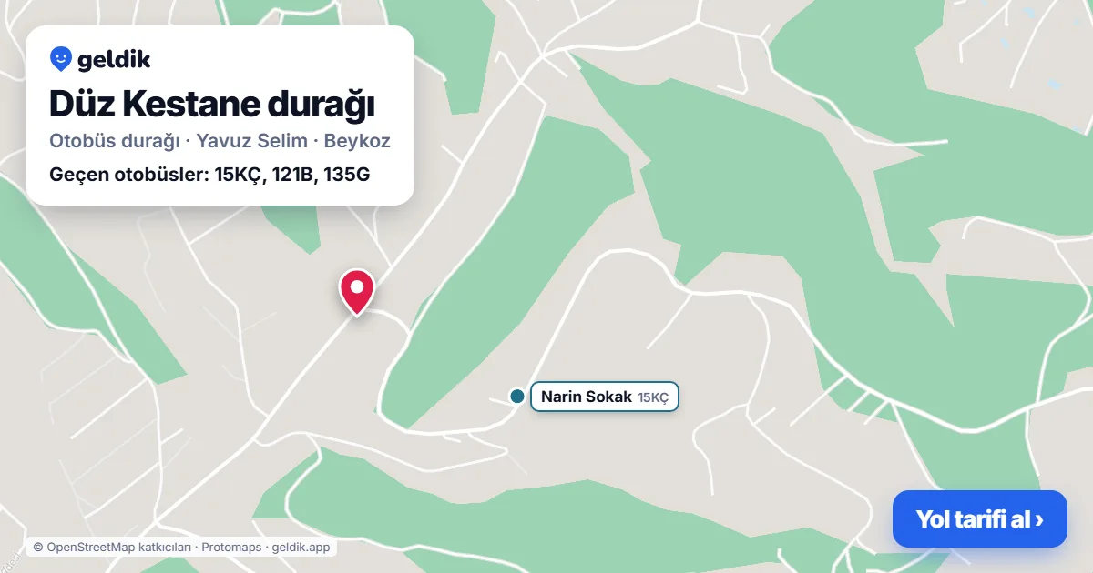 Düz Kestane otobüs durağı haritada: konumu ve yakındaki duraklar