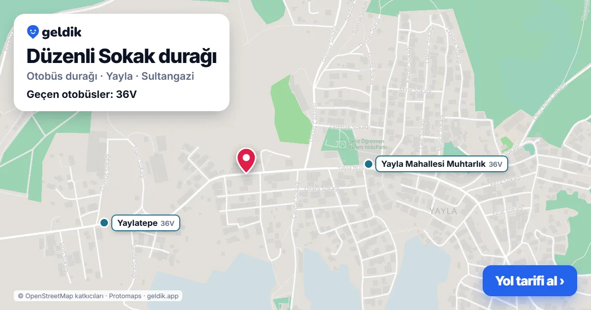 Düzenli Sokak otobüs durağı haritada: konumu ve yakındaki duraklar