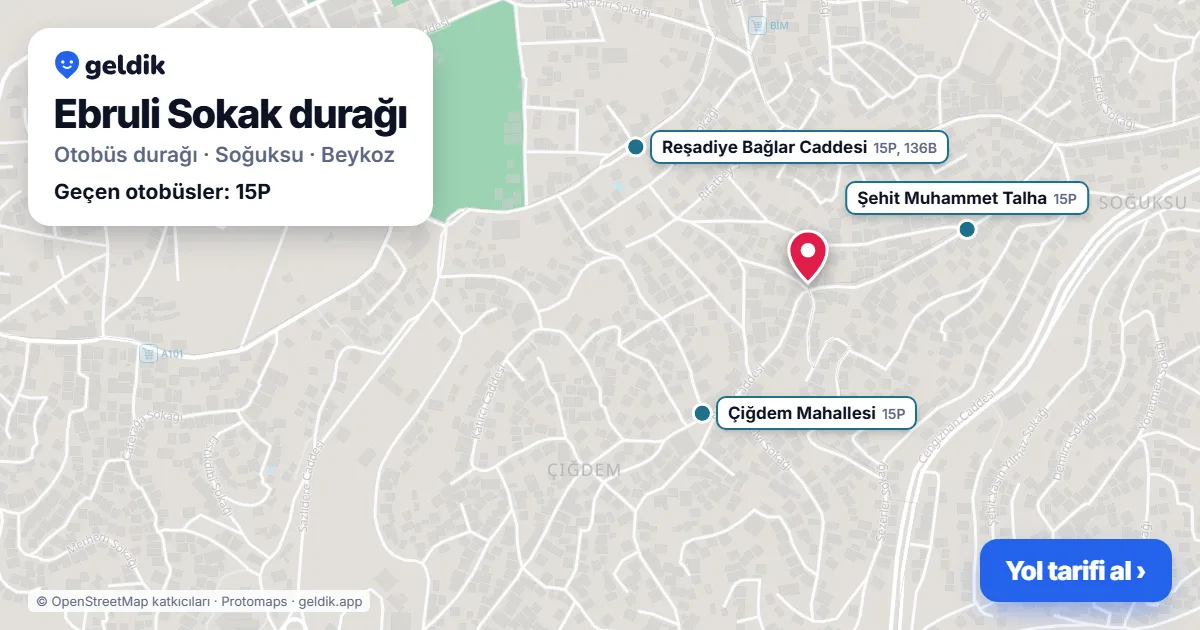 Ebruli Sokak otobüs durağı haritada: konumu ve yakındaki duraklar