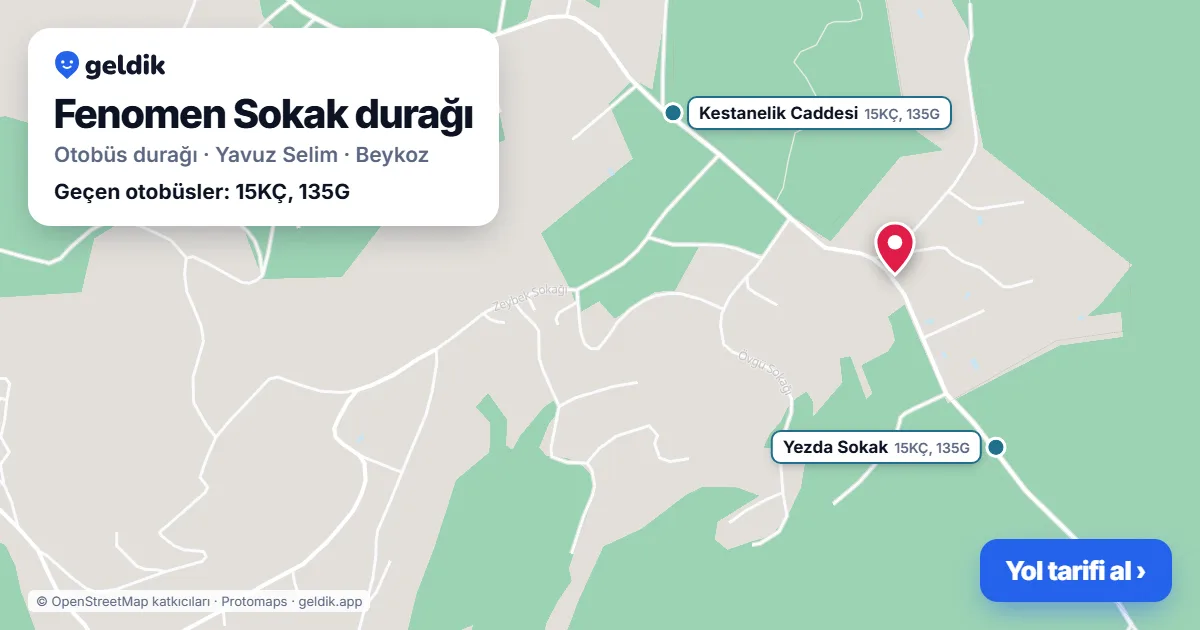 Fenomen Sokak otobüs durağı haritada: konumu ve yakındaki duraklar