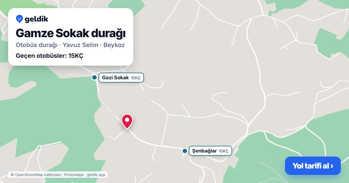 Gamze Sokak otobüs durağı haritada: konumu ve yakındaki duraklar