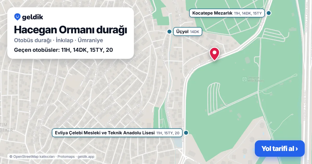 Hacegan Ormanı otobüs durağı haritada: konumu ve yakındaki duraklar