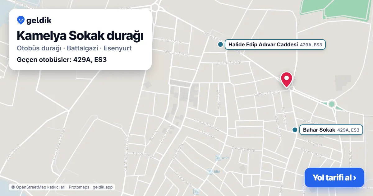 Kamelya Sokak otobüs durağı haritada: konumu ve yakındaki duraklar