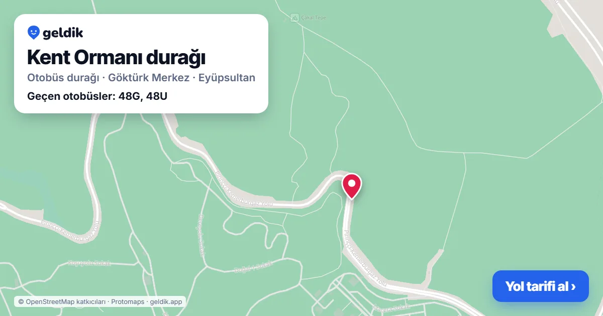 Kent Ormanı otobüs durağı haritada: konumu ve yakındaki duraklar