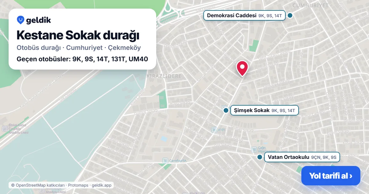 Kestane Sokak otobüs durağı haritada: konumu ve yakındaki duraklar