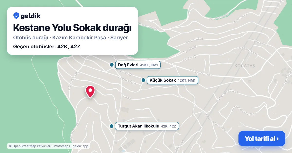 Kestane Yolu Sokak otobüs durağı haritada: konumu ve yakındaki duraklar