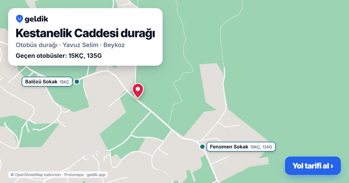 Kestanelik Caddesi otobüs durağı haritada: konumu ve yakındaki duraklar