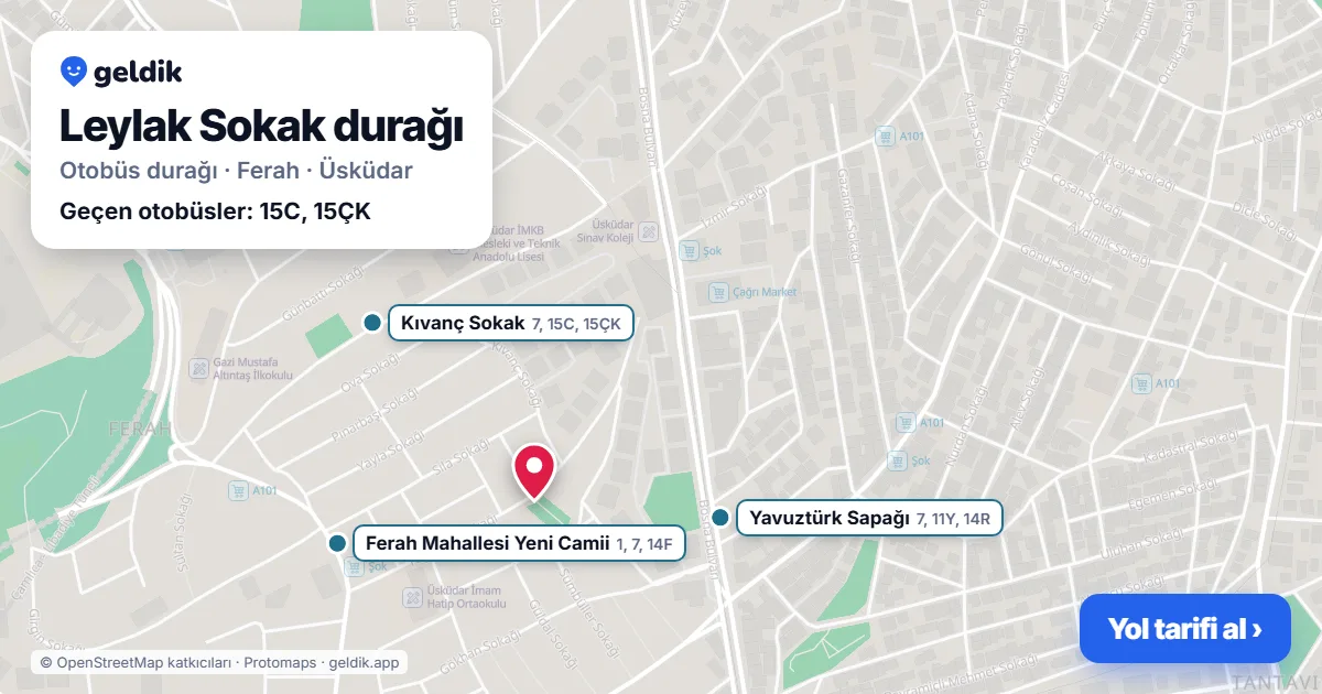 Leylak Sokak otobüs durağı haritada: konumu ve yakındaki duraklar