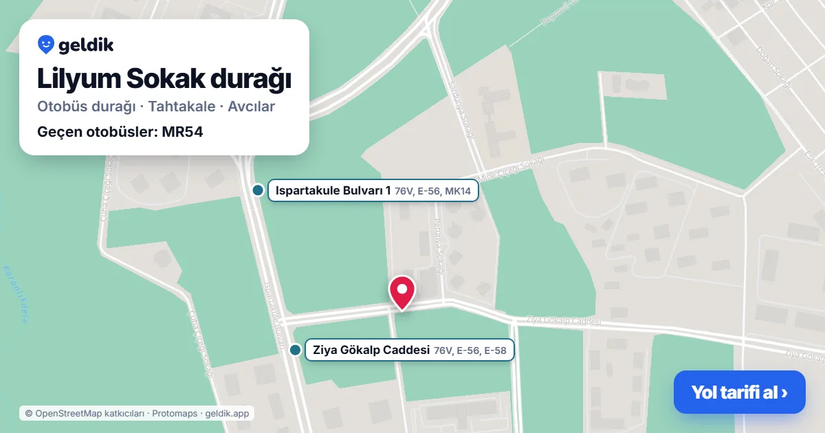Lilyum Sokak otobüs durağı haritada: konumu ve yakındaki duraklar