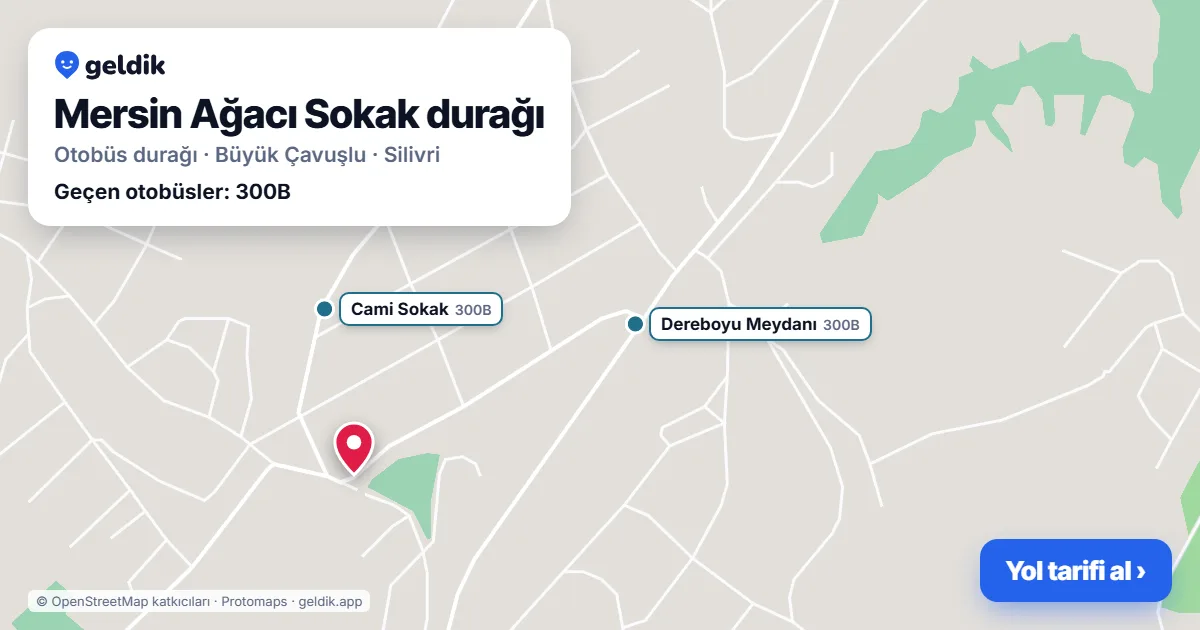 Mersin Ağacı Sokak otobüs durağı haritada: konumu ve yakındaki duraklar