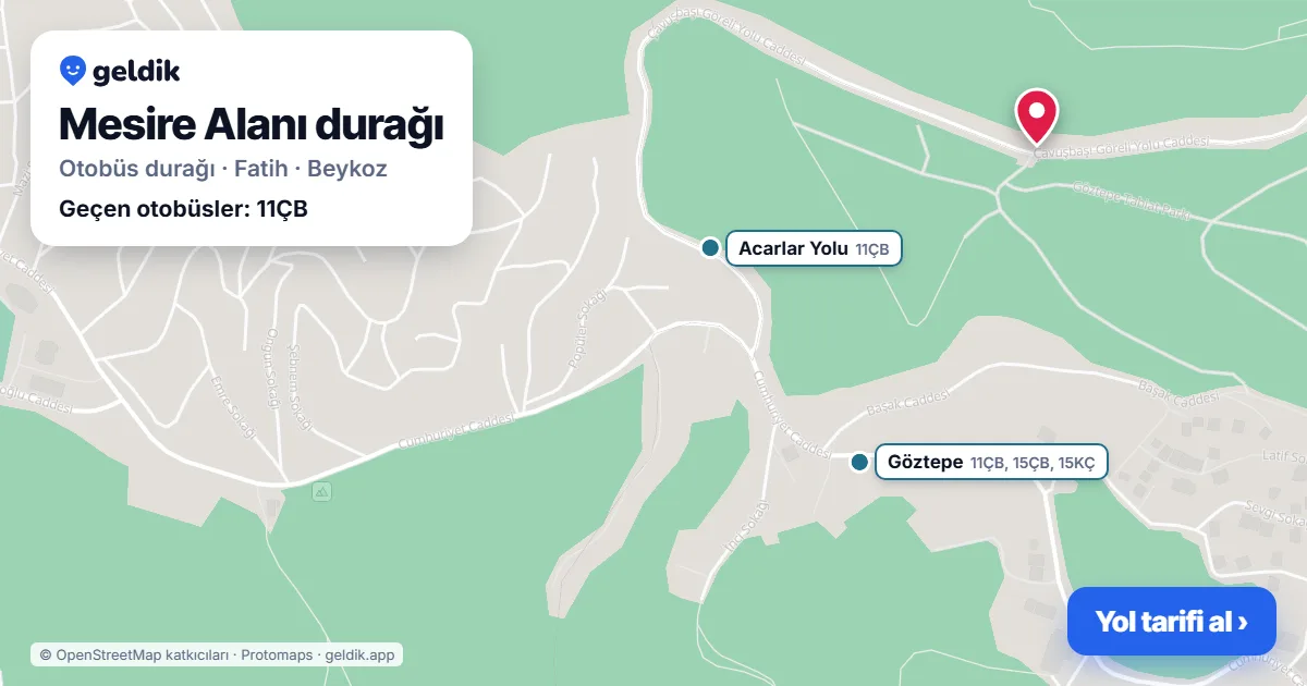 Mesire Alanı otobüs durağı haritada: konumu ve yakındaki duraklar