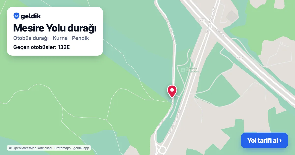 Mesire Yolu otobüs durağı haritada: konumu ve yakındaki duraklar