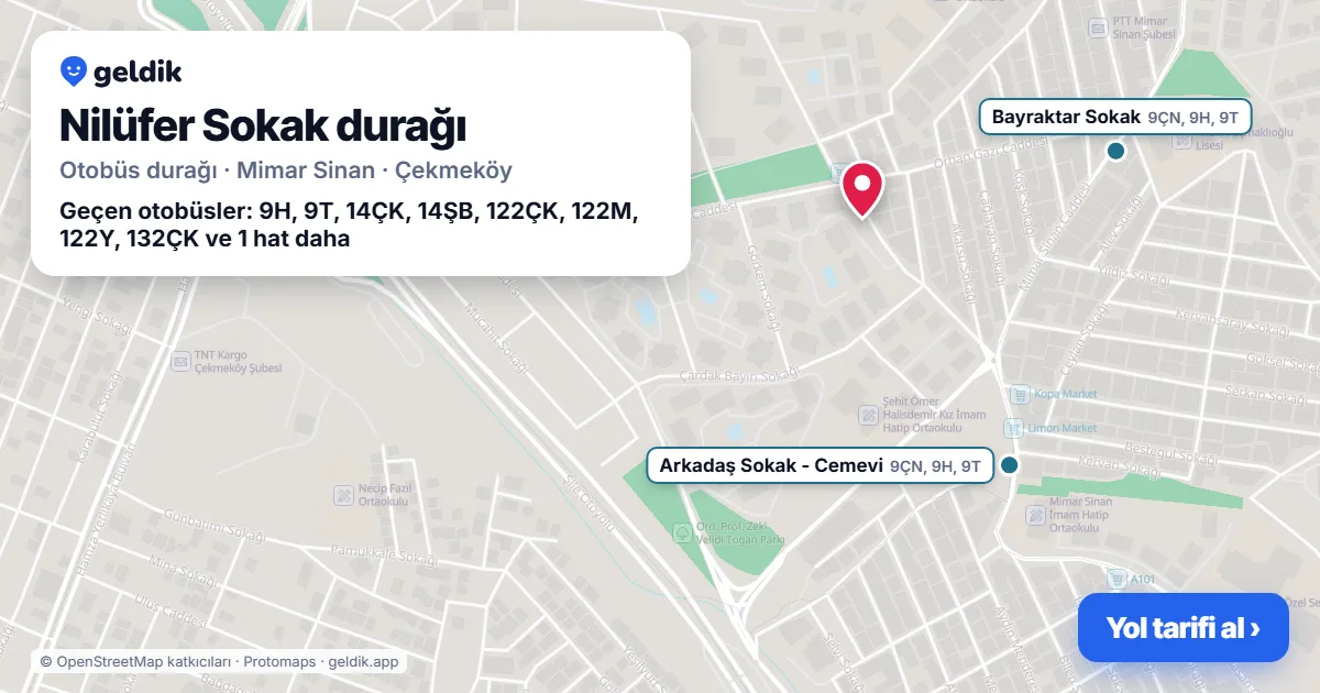 Nilüfer Sokak otobüs durağı haritada: konumu ve yakındaki duraklar