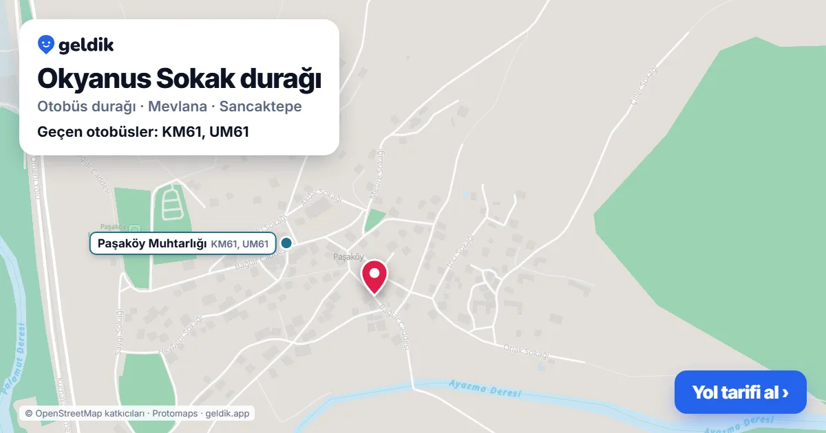 Okyanus Sokak otobüs durağı haritada: konumu ve yakındaki duraklar
