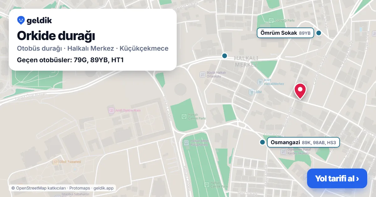 Orkide otobüs durağı haritada: konumu ve yakındaki duraklar
