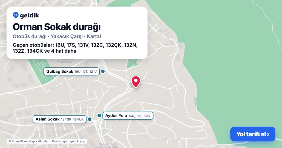 Orman Sokak otobüs durağı haritada: konumu ve yakındaki duraklar