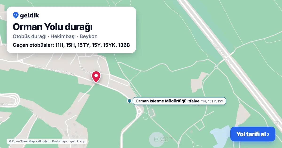 Orman Yolu otobüs durağı haritada: konumu ve yakındaki duraklar
