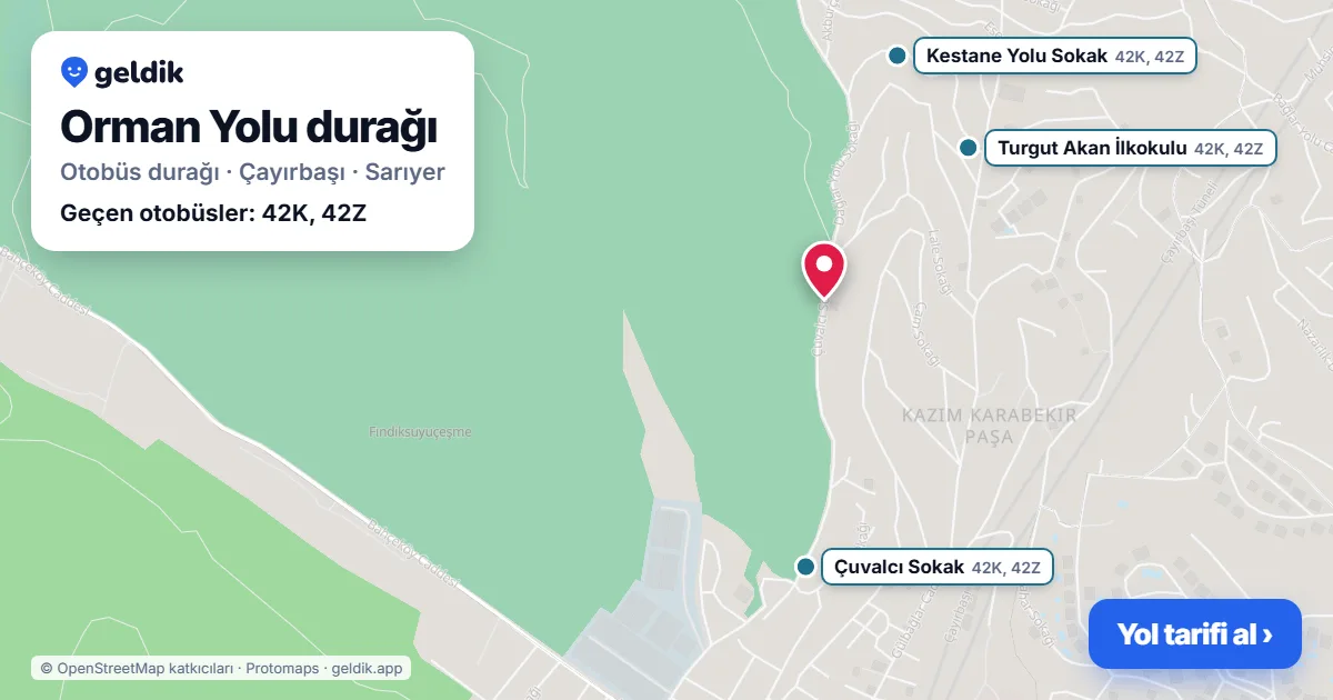 Orman Yolu otobüs durağı haritada: konumu ve yakındaki duraklar