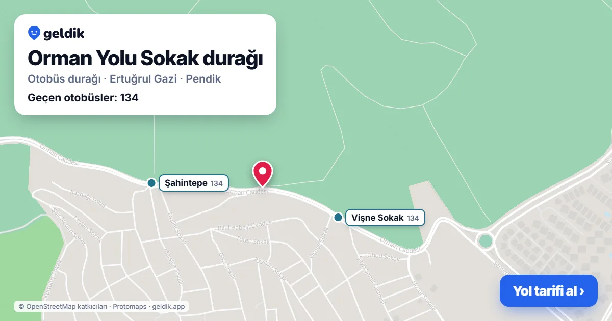 Orman Yolu Sokak otobüs durağı haritada: konumu ve yakındaki duraklar