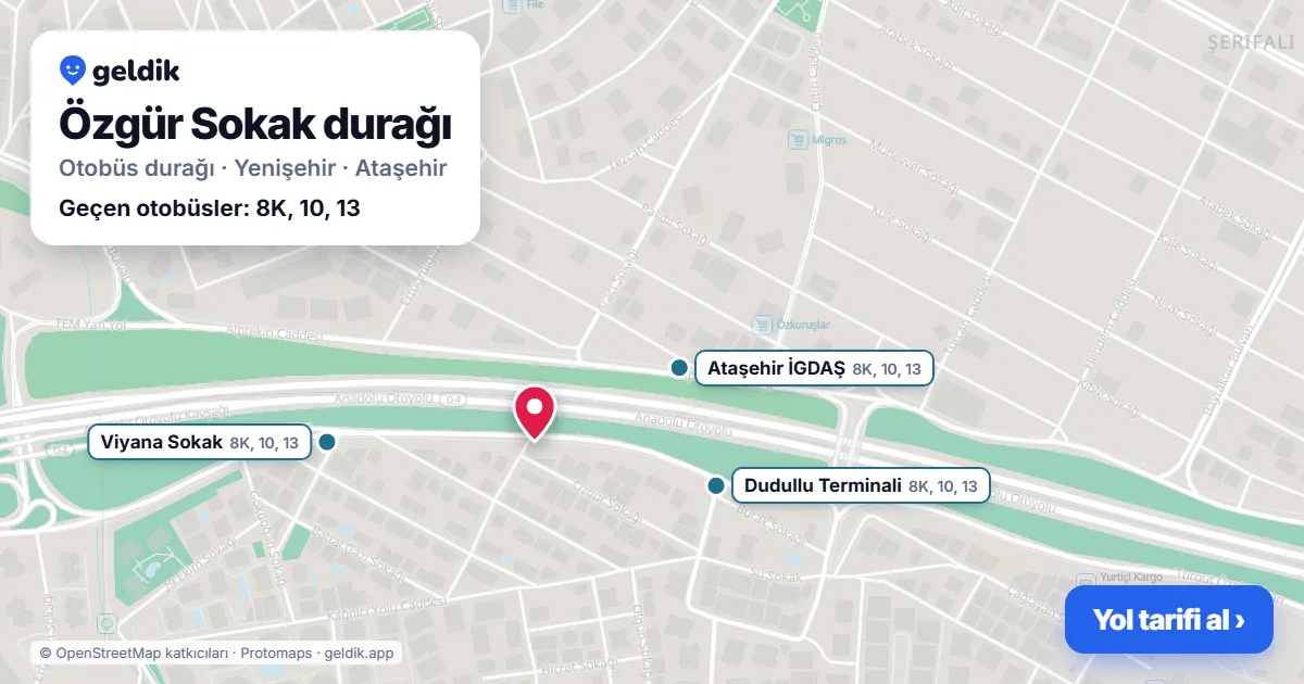 Özgür Sokak otobüs durağı haritada: konumu ve yakındaki duraklar