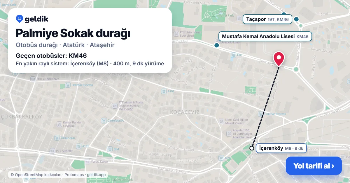 Palmiye Sokak otobüs durağı haritada: konumu ve yakındaki duraklar