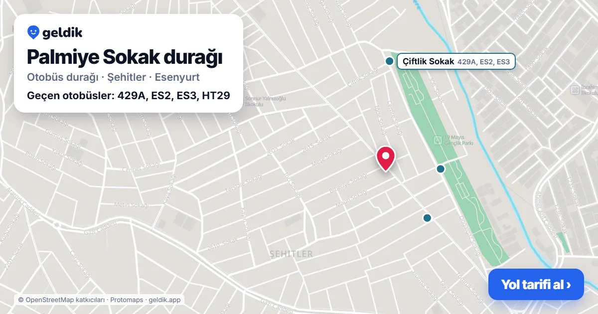 Palmiye Sokak otobüs durağı haritada: konumu ve yakındaki duraklar