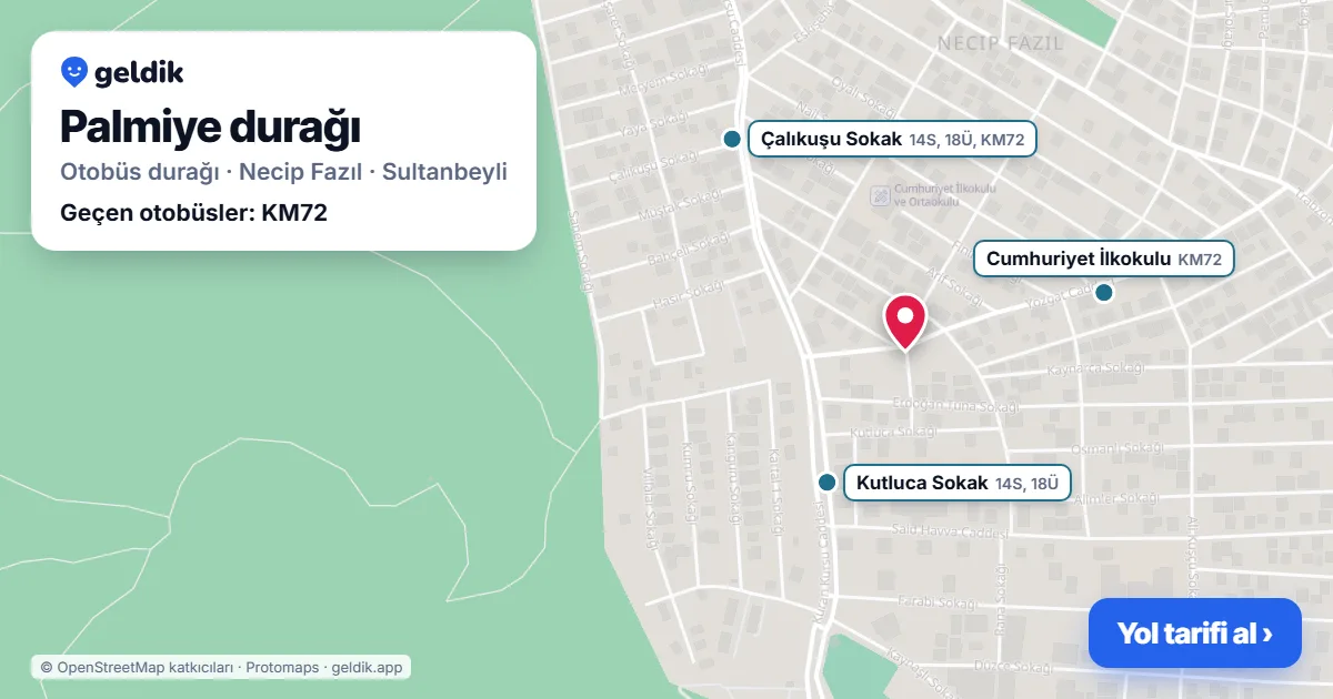 Palmiye otobüs durağı haritada: konumu ve yakındaki duraklar