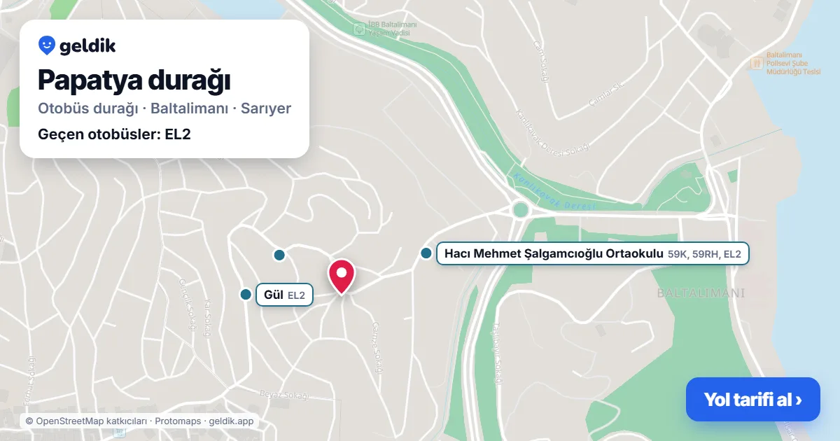 Papatya otobüs durağı haritada: konumu ve yakındaki duraklar