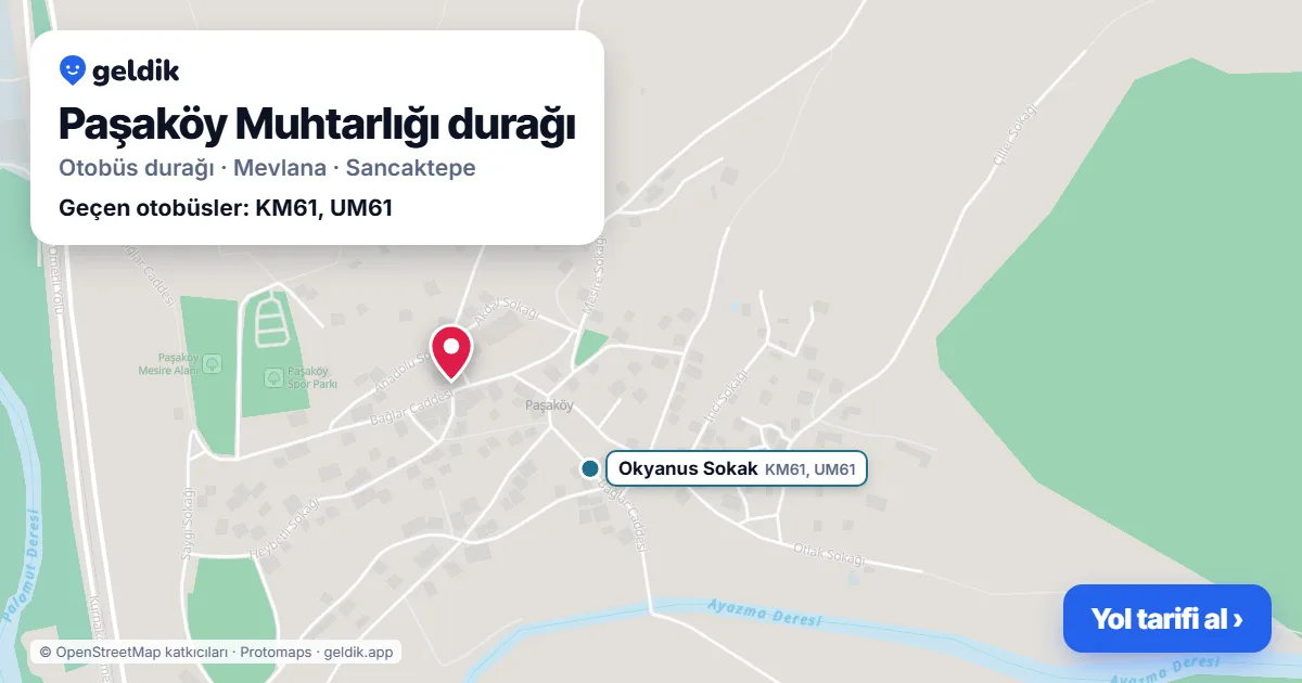 Paşaköy Muhtarlığı otobüs durağı haritada: konumu ve yakındaki duraklar
