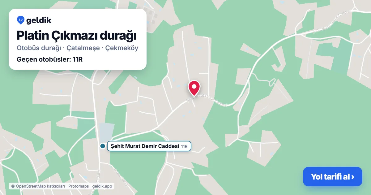 Platin Çıkmazı otobüs durağı haritada: konumu ve yakındaki duraklar