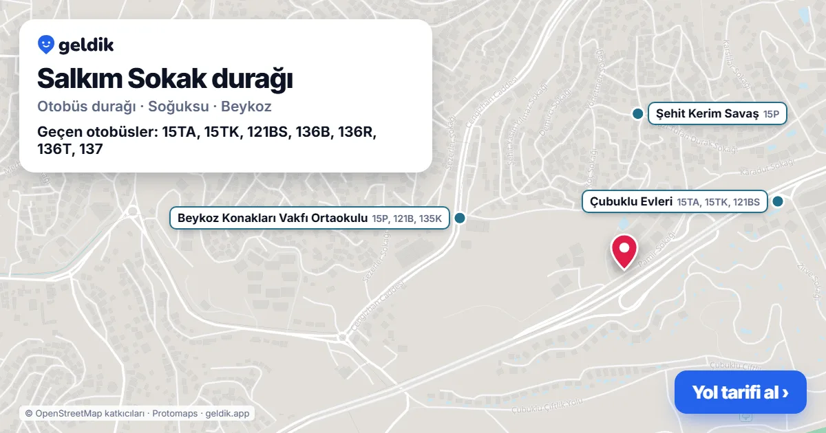 Salkım Sokak otobüs durağı haritada: konumu ve yakındaki duraklar