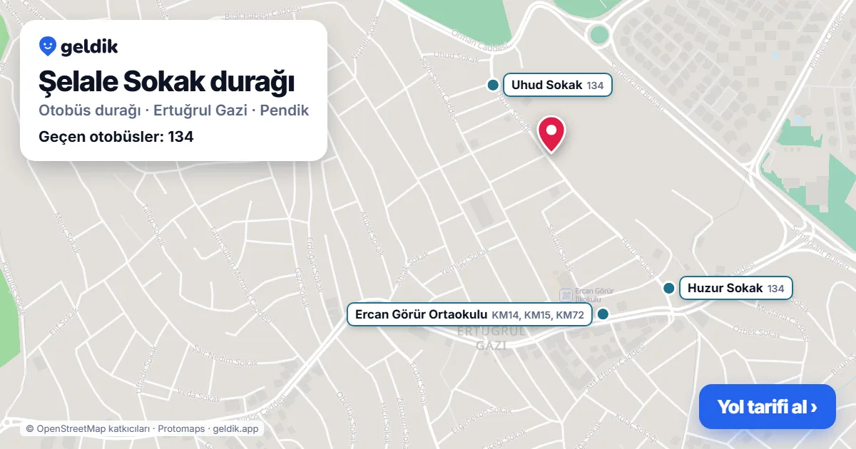 Şelale Sokak otobüs durağı haritada: konumu ve yakındaki duraklar