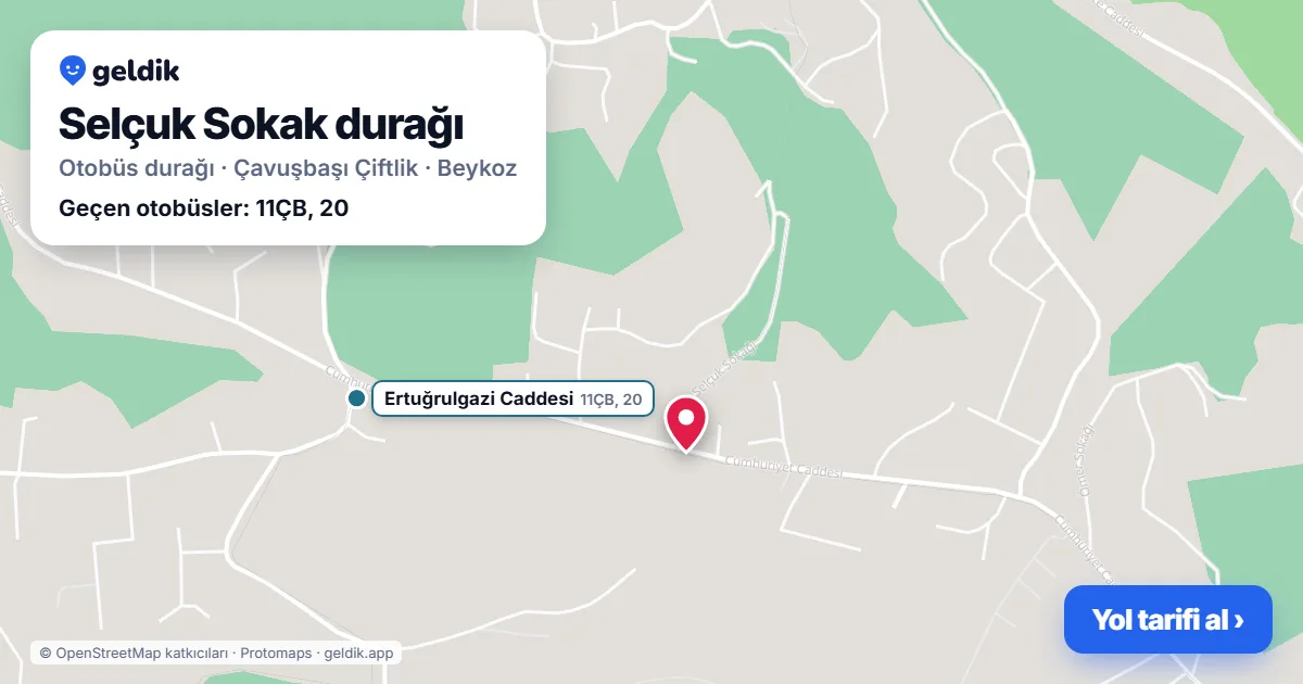 Selçuk Sokak otobüs durağı haritada: konumu ve yakındaki duraklar