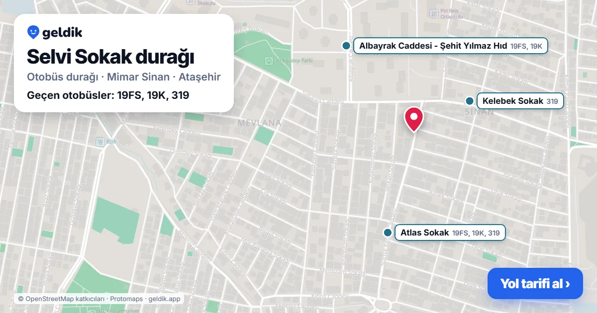 Selvi Sokak otobüs durağı haritada: konumu ve yakındaki duraklar