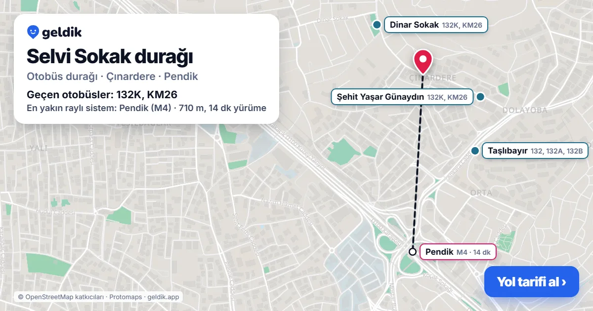 Selvi Sokak otobüs durağı haritada: konumu ve yakındaki duraklar