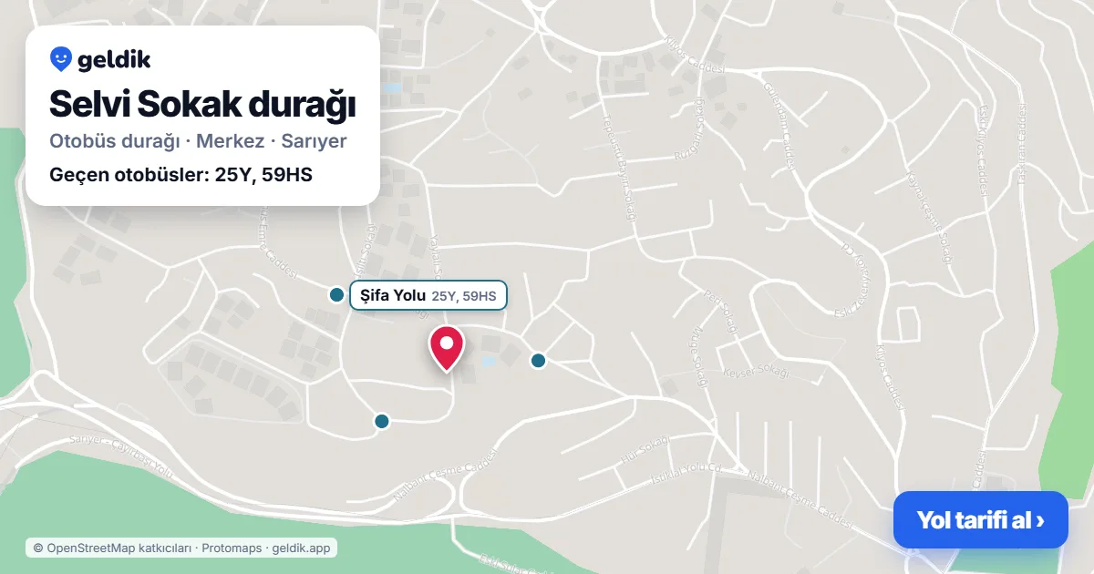 Selvi Sokak otobüs durağı haritada: konumu ve yakındaki duraklar