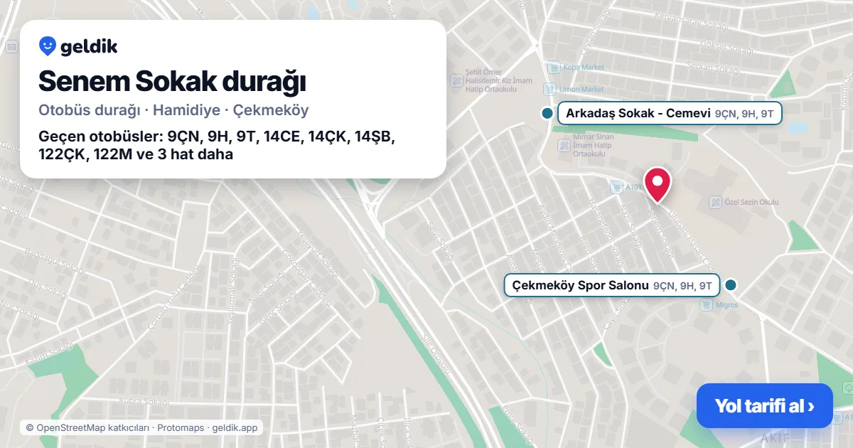 Senem Sokak otobüs durağı haritada: konumu ve yakındaki duraklar