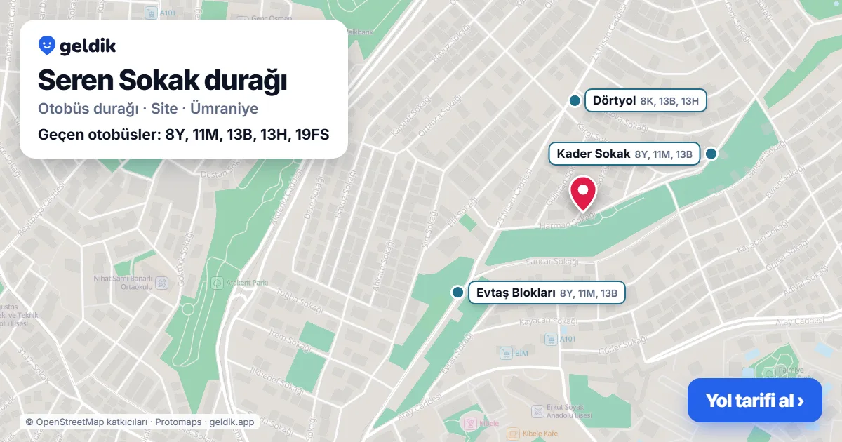 Seren Sokak otobüs durağı haritada: konumu ve yakındaki duraklar