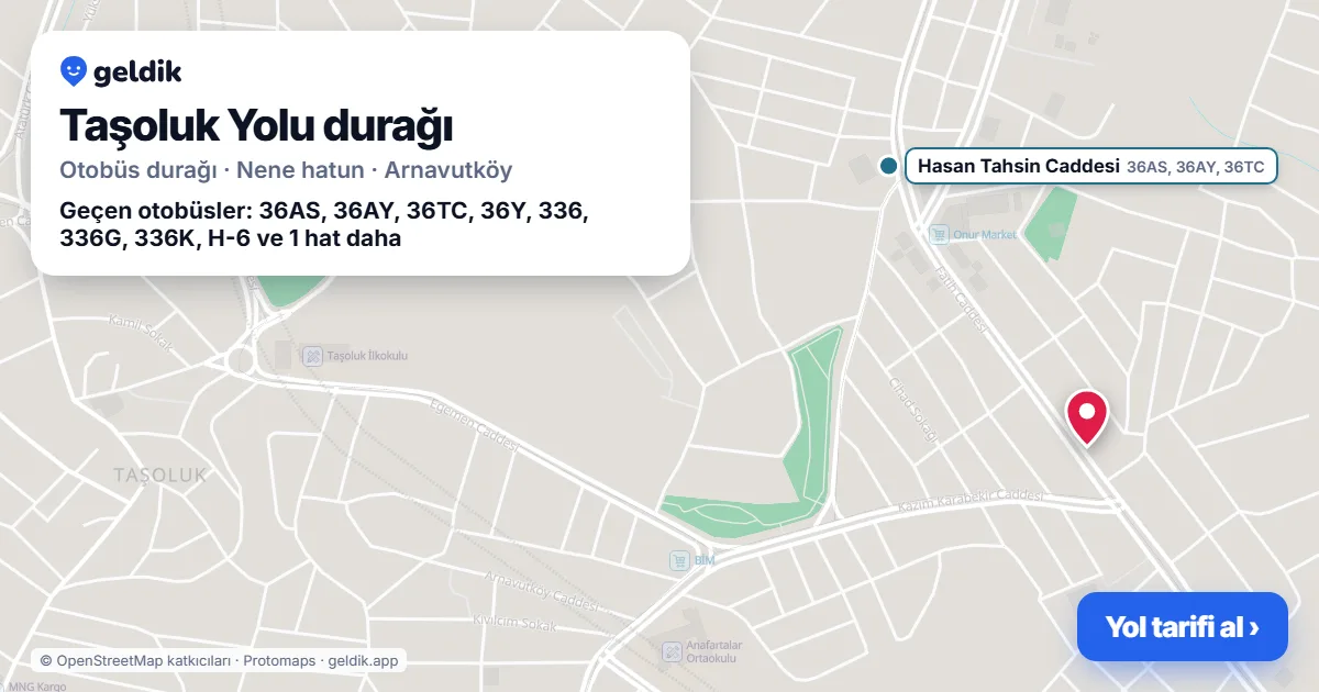 Taşoluk Yolu otobüs durağı haritada: konumu ve yakındaki duraklar