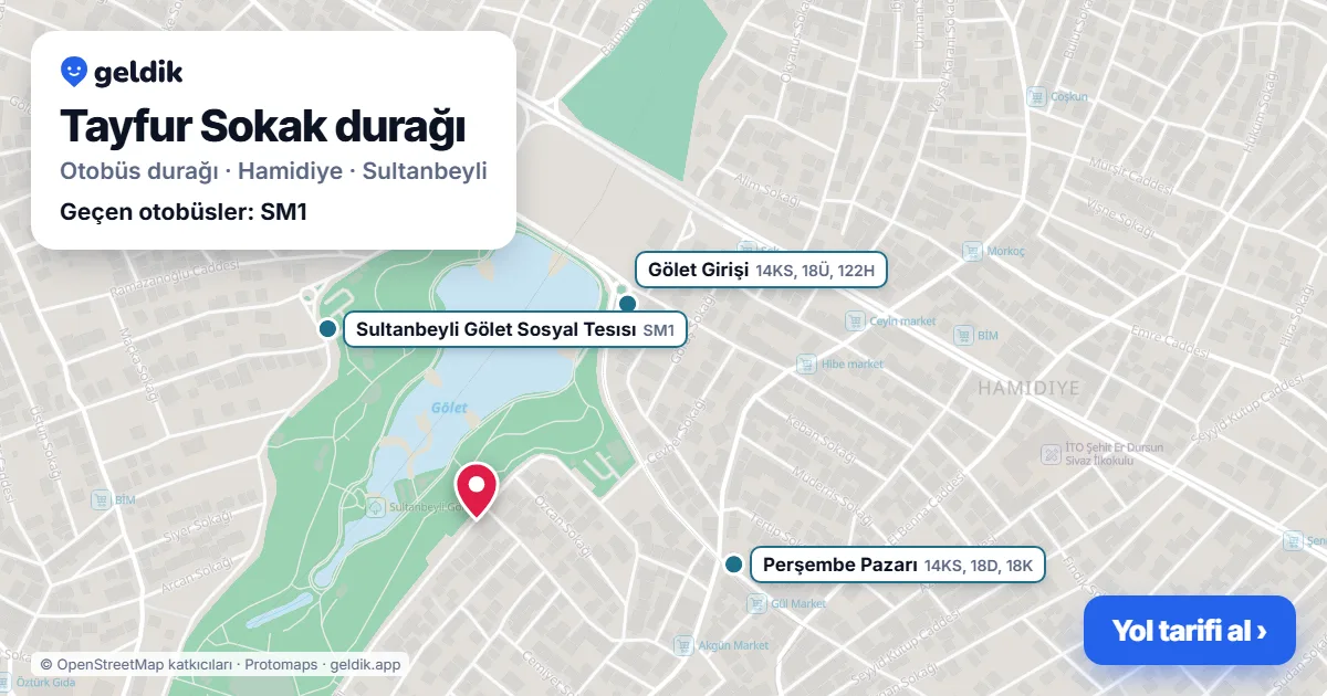 Tayfur Sokak otobüs durağı haritada: konumu ve yakındaki duraklar