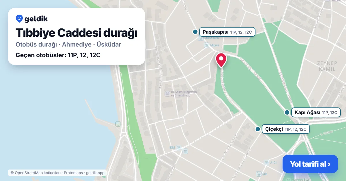 Tıbbiye Caddesi otobüs durağı haritada: konumu ve yakındaki duraklar